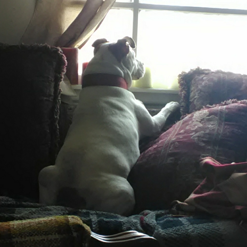 Meet your Posher, Angela